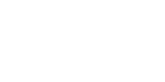 Sponsor