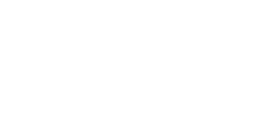 Sponsor