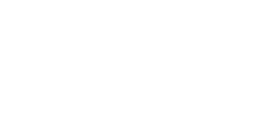 Sponsor