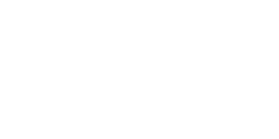 Sponsor