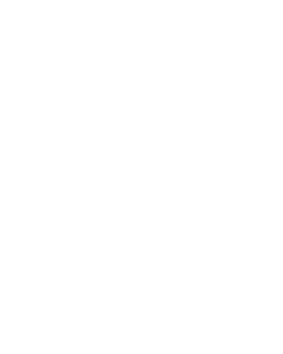BRUTO-PNG