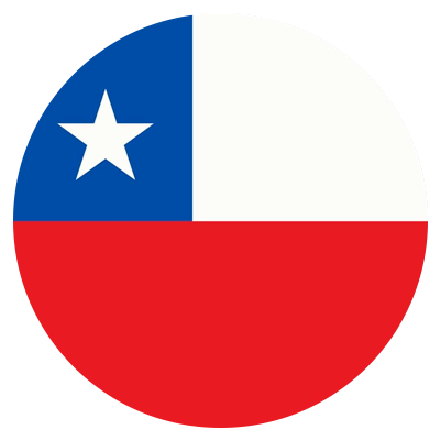 https://newberyathletic.com/wp-content/uploads/2025/01/chile.png