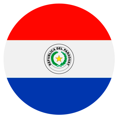 https://newberyathletic.com/wp-content/uploads/2025/01/paraguay.png